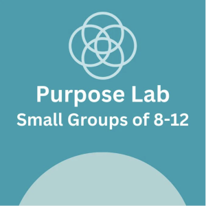 Purpose Lab - Small Groups 8-12